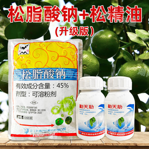 大鹏45%松脂酸钠松精油套餐 果树柑橘介壳虫清园杀虫剂 商品图2