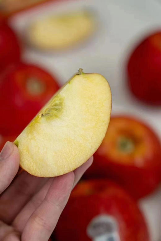 美国爱妃Envy🍎苹果——口感清脆香甜 商品图6