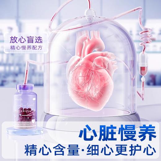vetwish唯特适宠物辅酶Q10猫咪狗狗心脏保护辅助调理护心养心 商品图2