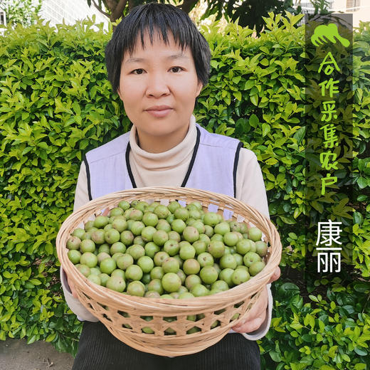 野生油柑 | 合作生产 *Wild oil sweet| Partner Production 商品图3
