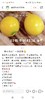 黄晶果一个 商品缩略图3