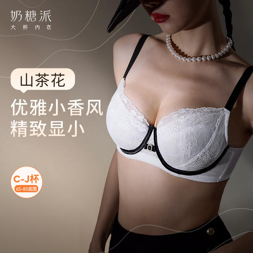 【买三免一】奶糖派大胸显小内衣女山茶花小香风超薄蕾丝文胸防下垂大码胸罩 商品图0