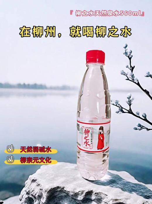 柳之水 560ml/瓶 商品图1