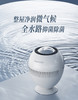 大宇小巨蛋加湿器PH05 商品缩略图0