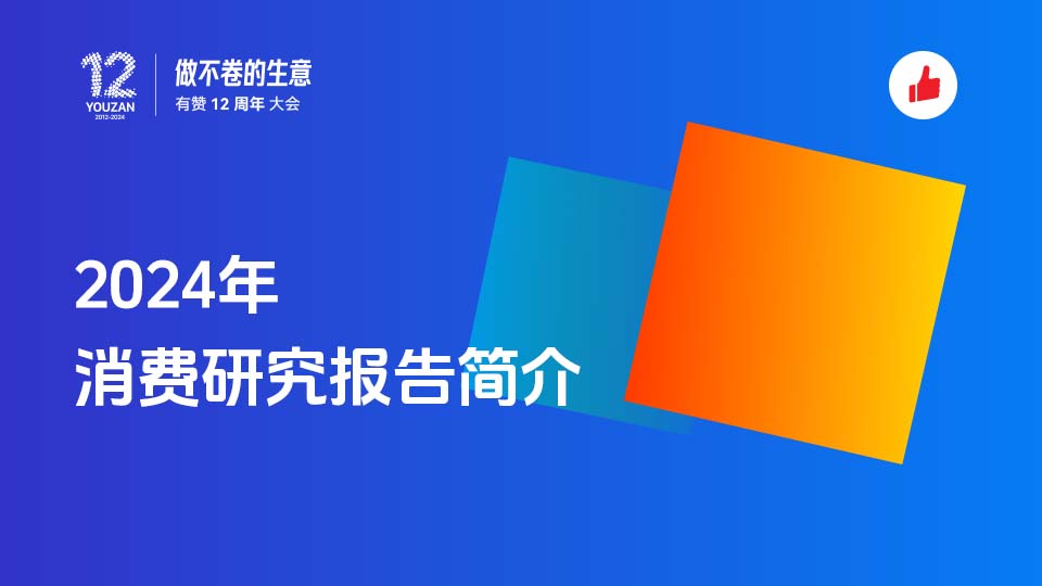 2024年消费研究报告简介