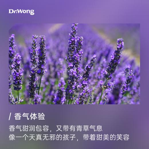 醒目薰衣草 植物香薰精油 商品图1