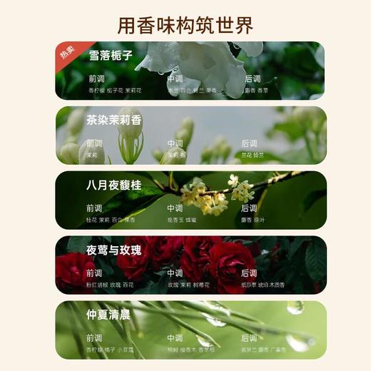 宝玑米 微醺晚安身体冷霜200g 商品图2