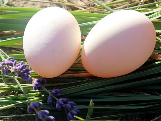 贵妃鸡蛋&艾叶鸡蛋 商品图1