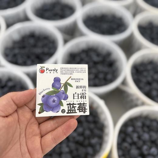 云南「花香脆蓝莓」大果18mm➕ 1kg 商品图8