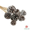 松果 -白色 10枝一扎 商品缩略图1