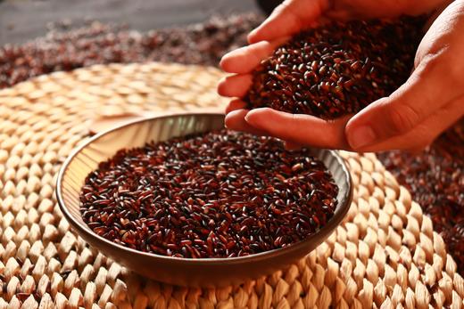 红香糯米500g/袋   #富含花青素 爆米花香 糯性优良 商品图5