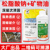 矿物油松脂酸钠套餐清园剂柑橘树介壳虫红蜘蛛果树清园剂农用正品 商品缩略图2