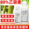 80%乙蒜素升级版杀菌剂水稻大田作物烂秧病专用浸种杀菌剂农用 商品缩略图0