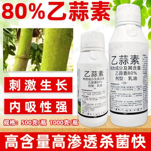 80%乙蒜素升级版杀菌剂水稻大田作物烂秧病专用浸种杀菌剂农用 商品图0