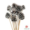 松果 -白色 10枝一扎 商品缩略图0