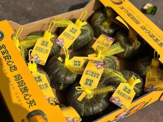 【农产品】甜小南南瓜 · 2个装 商品图1