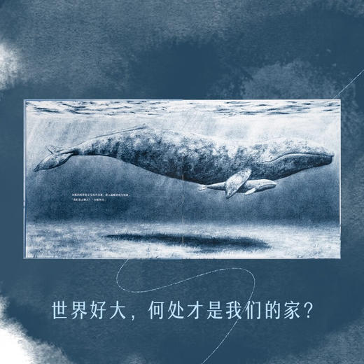 6.5折读小库《快到家了吗？》全三册《家在深海处》《家在密林中》《家在天那边》一趟母爱充盈的回家之旅 3-6岁 情感启蒙 自然绘本 木炭画 商品图2