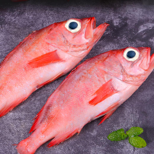 【野生海产】红石斑鱼300-400g 大西洋纯净海域 商品图4