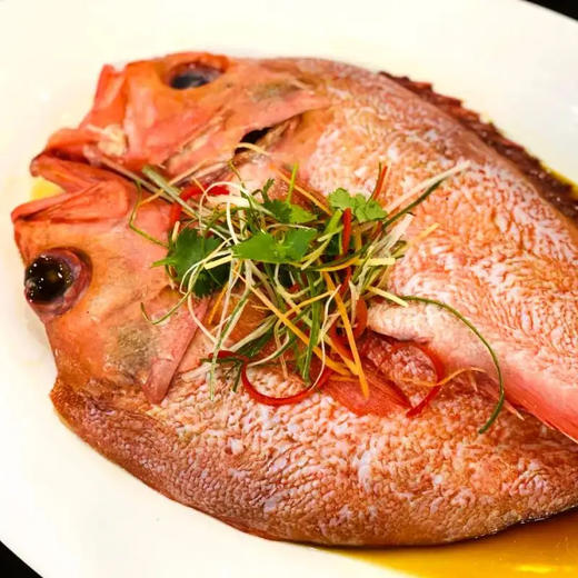 【野生海产】红石斑鱼300-400g 大西洋纯净海域 商品图5