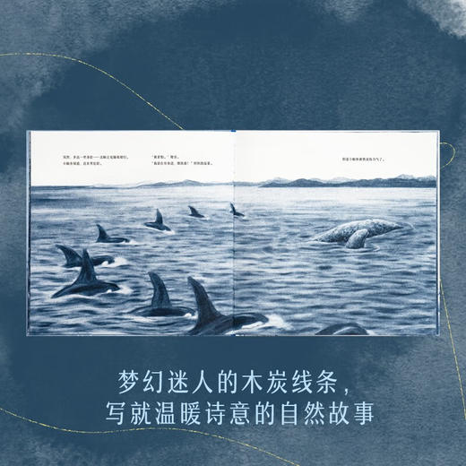 6.5折读小库《快到家了吗？》全三册《家在深海处》《家在密林中》《家在天那边》一趟母爱充盈的回家之旅 3-6岁 情感启蒙 自然绘本 木炭画 商品图4