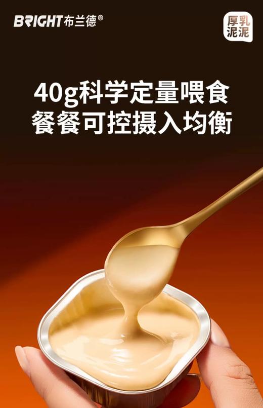 布兰德 厚乳泥泥主食猫餐盒 商品图5