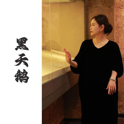 【抖音专属】黑天鹅•V领连衣裙（24807145-玄色） 商品图0