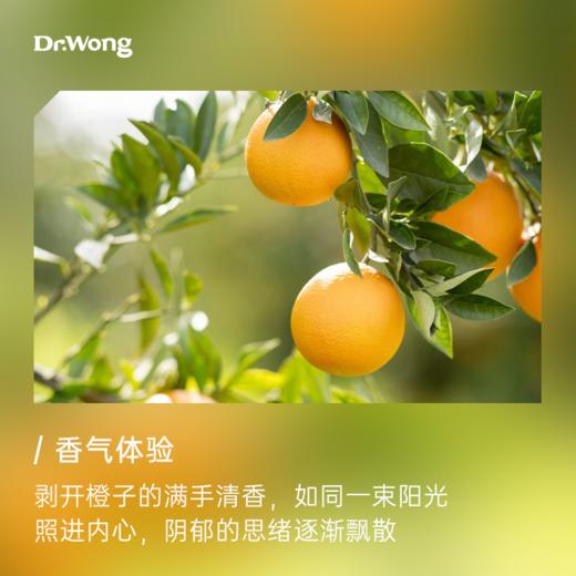 甜橙 植物香薰精油-o 商品图1
