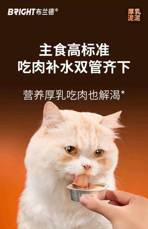 布兰德 厚乳泥泥主食猫餐盒 商品图3