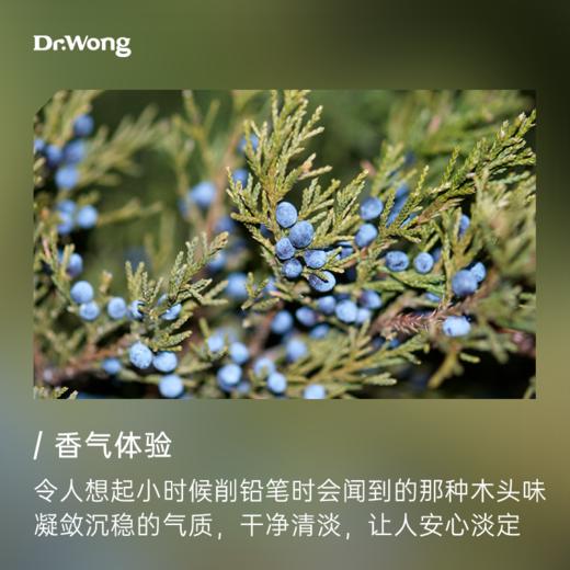 维吉尼亚雪松 植物香薰精油 商品图1