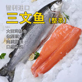 三文鱼整条6300±100g/条 原料原产国-智利