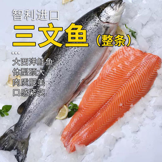 三文鱼整条6300±100g/条 原料原产国-智利 商品图0