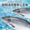 三文鱼整条6300±100g/条 原料原产国-智利 商品缩略图1