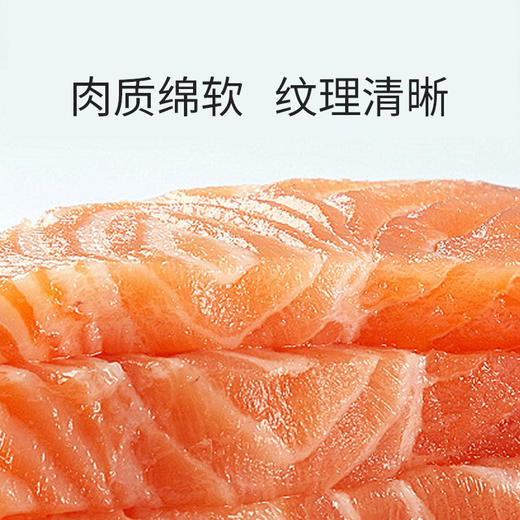 三文鱼整条6300±100g/条 原料原产国-智利 商品图3