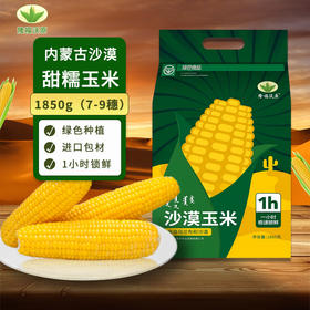 当季鲜穗！内蒙古沙漠玉米 1小时锁鲜 甜糯香甜 低卡饱腹 健康粗粮