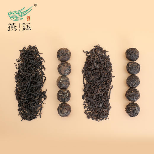 燕语茗茶全家桶290g 商品图3