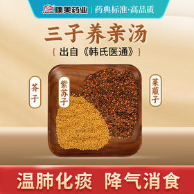 三子养亲汤27g/剂 （芥子/紫苏子/莱菔子）出自《韩氏医通》