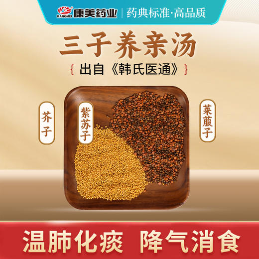 三子养亲汤27g/剂 （芥子/紫苏子/莱菔子）出自《韩氏医通》 商品图0