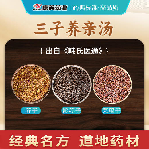 三子养亲汤27g/剂 （芥子/紫苏子/莱菔子）出自《韩氏医通》 商品图1