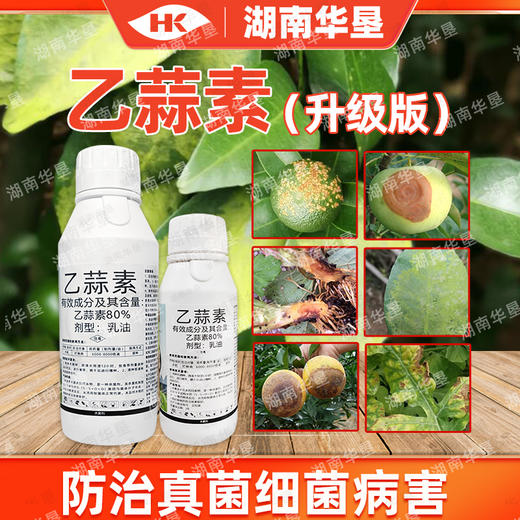 乙蒜素大蒜油真菌细菌根腐病青枯病枯萎柑橘青苔病农药杀菌剂 商品图1