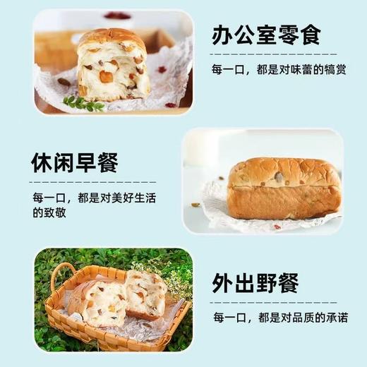 桃李果子面包240g 早餐食品果脯果干短保面包网红代餐手撕 商品图3