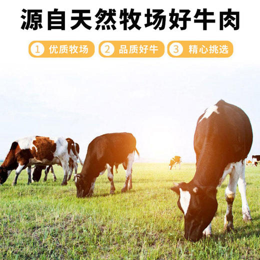【清真】GoodDady孜然牛柳200±10g/400±20g 商品图4