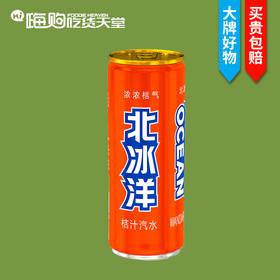 北冰洋桔汁汽水330ml（8A)(Z)