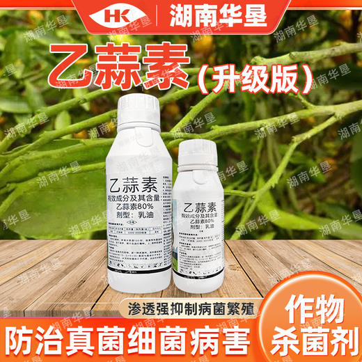 乙蒜素大蒜油真菌细菌根腐病青枯病枯萎柑橘青苔病农药杀菌剂 商品图4