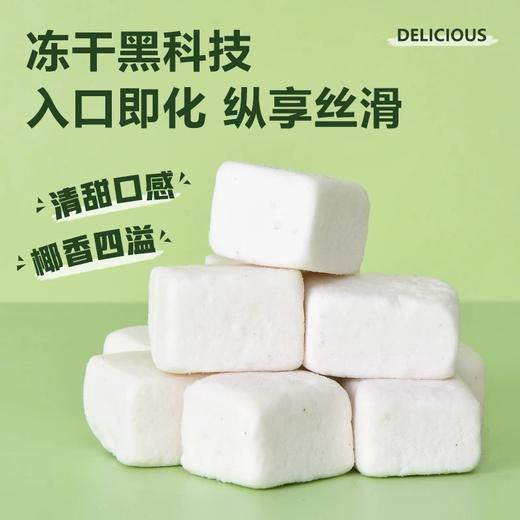 siam nature冻干冰淇淋椰子糖果25g/064555 清甜口感椰香四溢 商品图3