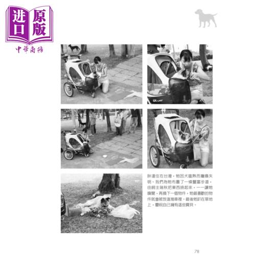 【中商原版】和狗狗一起玩嗅闻 善用狗狗的神奇嗅觉 打开人犬相处的全新宇宙  安娜莉 克梵  橡树林文化 港台原版 商品图1