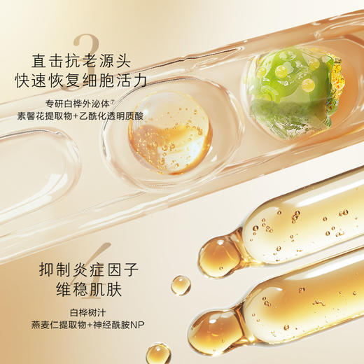 【新品上市】养生堂雪融莹润夜间焕活面膜5g*12 商品图2