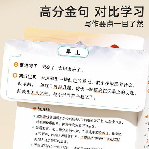 作文金句800例高分作文素材范文优美句子积累大全高分作文 商品图3