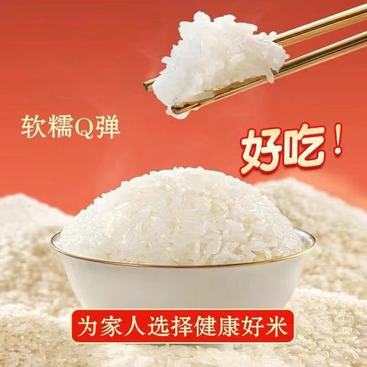 乔府大院长粒香米5kg 商品图1