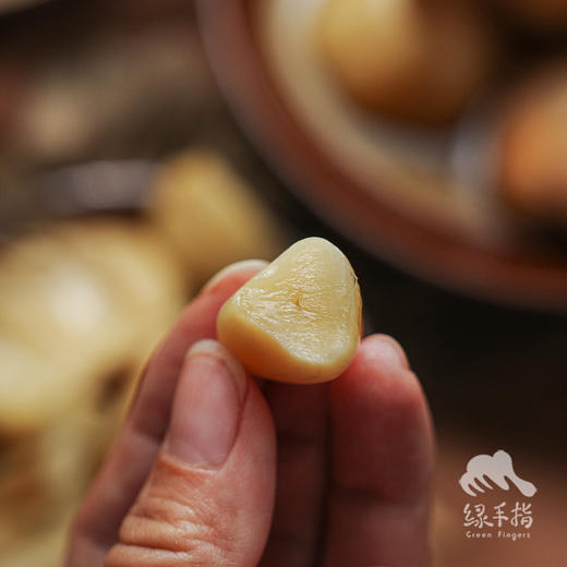 生态糖醋蒜（山东） | 合作生产 * Ecological sweet and sour garlic | Partner Production 商品图4
