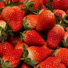 牛奶草莓（500g）/盒